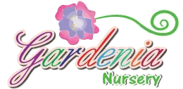 Gardenia Early childhood